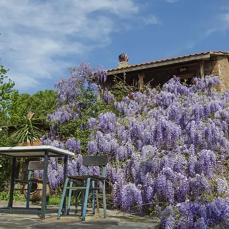 Agora Evleri Hotel de apartamente *